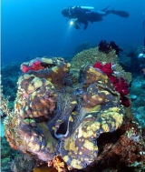 о. Ломбок (Lombok) - остров в Индонезии